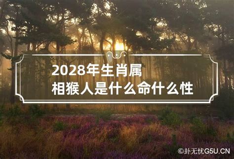 2028五行|2028年属什么 2028年属什么生肖的宝宝